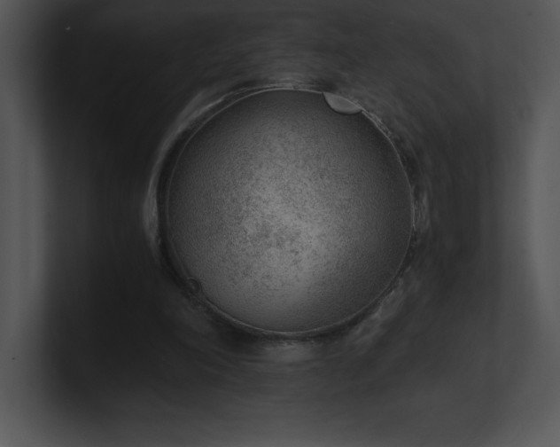 X0000100900198200806241259