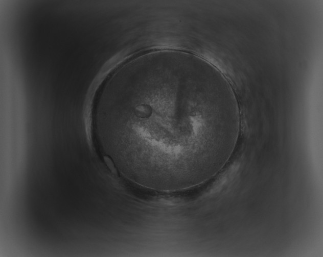 X0000100900199200806241259
