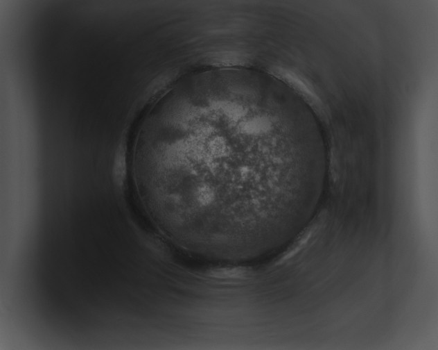 X0000100900202200806241259