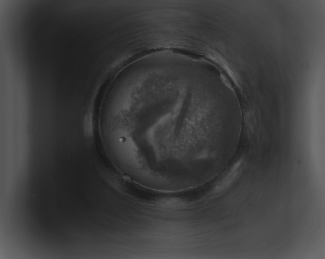 X0000100900203200806241259