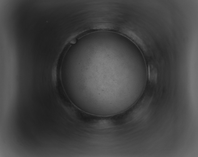 X0000100900204200806241259