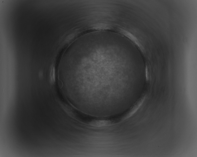 X0000100900205200806241259