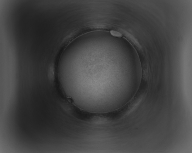X0000100900207200806241259