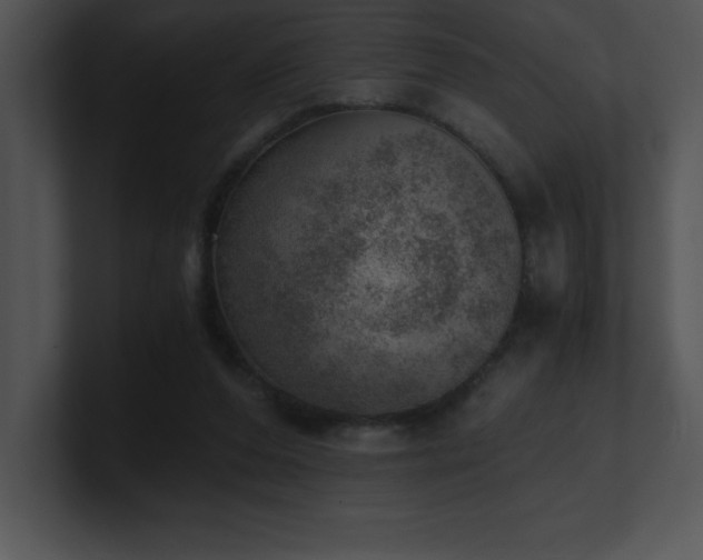X0000100900208200806241259