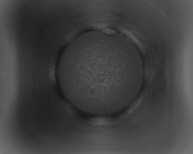 X0000100900209200806241259