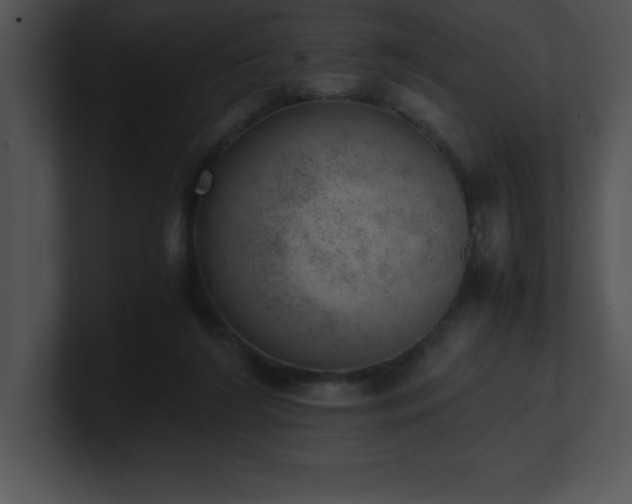 X0000100900212200806241259