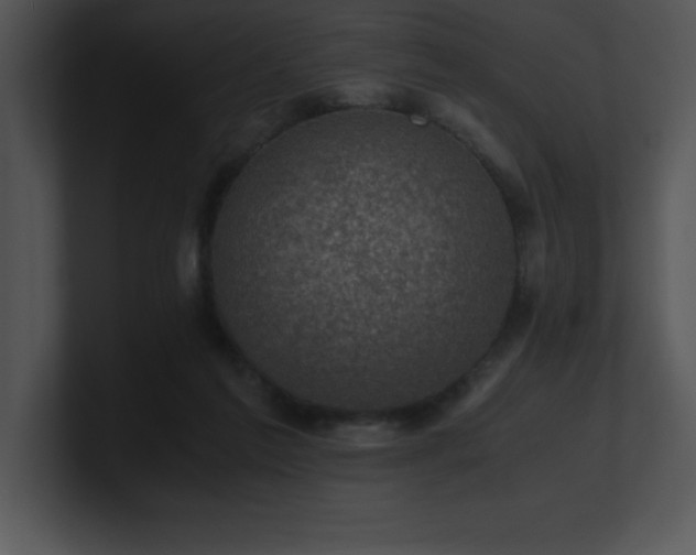 X0000100900213200806241259