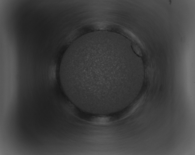 X0000100900217200806241259