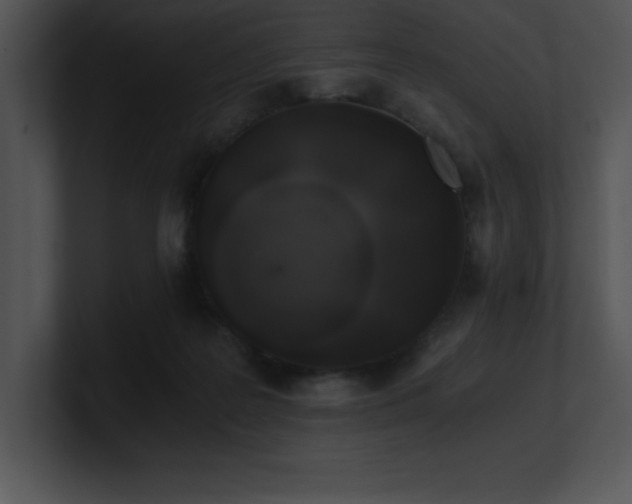 X0000100900219200806241259