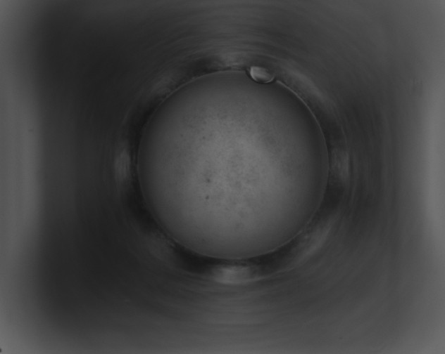 X0000100900220200806241259