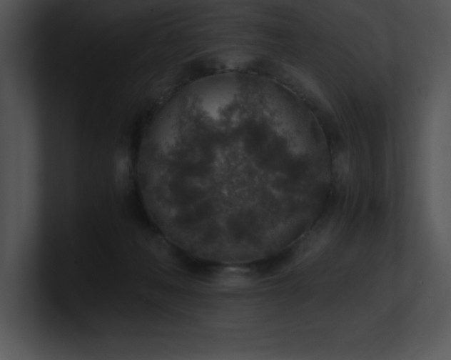 X0000100900222200806241259