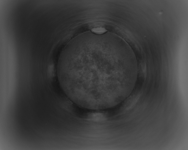 X0000100900224200806241259