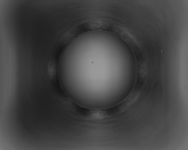 X0000100900226200806241259