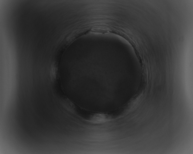 X0000100900227200806241259
