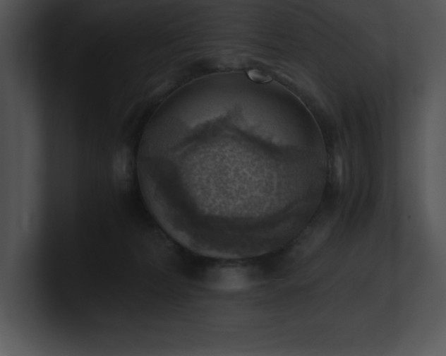 X0000100900228200806241259
