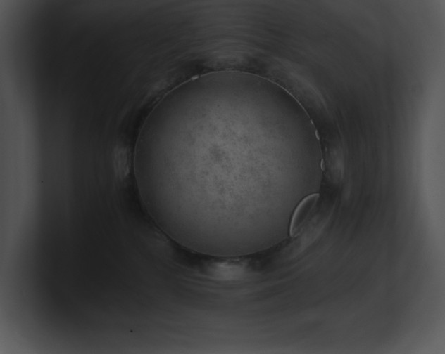 X0000100900232200806241259