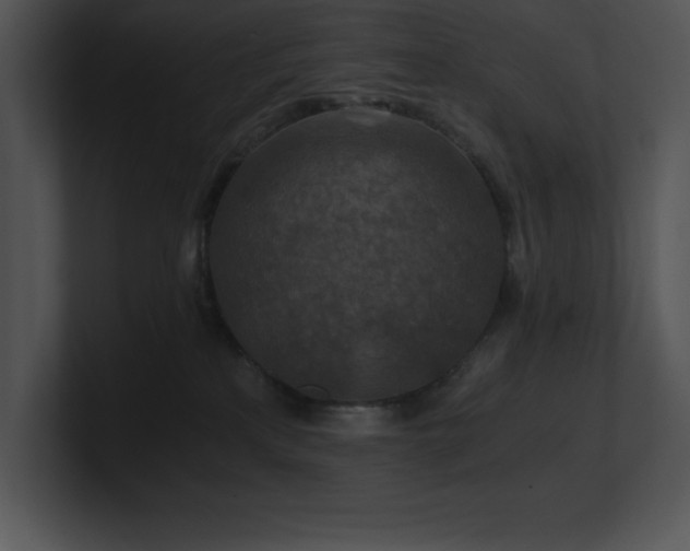 X0000100900233200806241259
