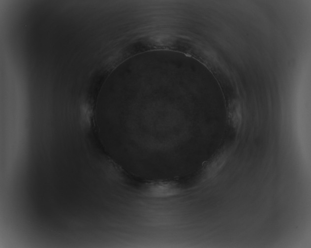 X0000100900235200806241259