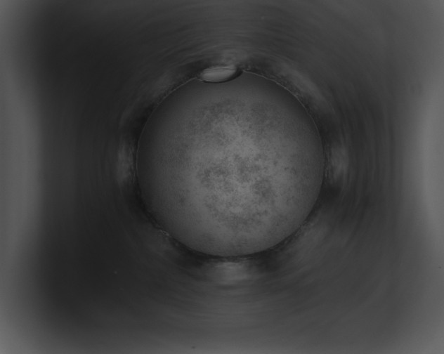 X0000100900236200806241259