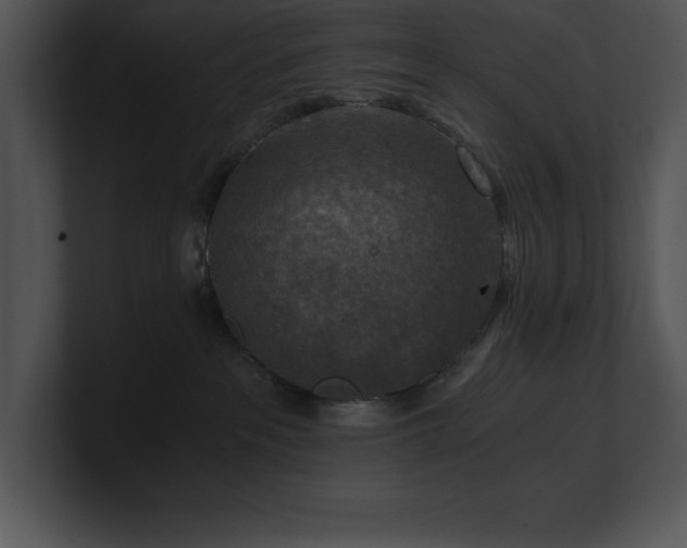 X0000100900237200806241259