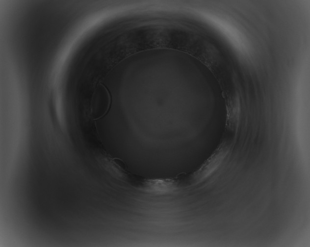 X0000100900239200806241259