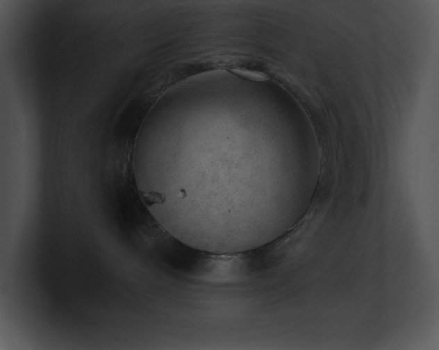 X0000100900240200806241259
