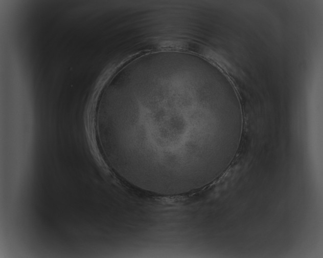 X0000100900241200806241258