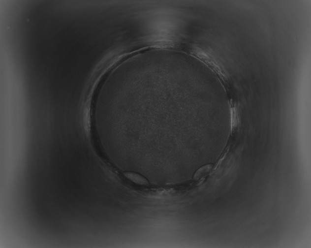 X0000100900243200806241258