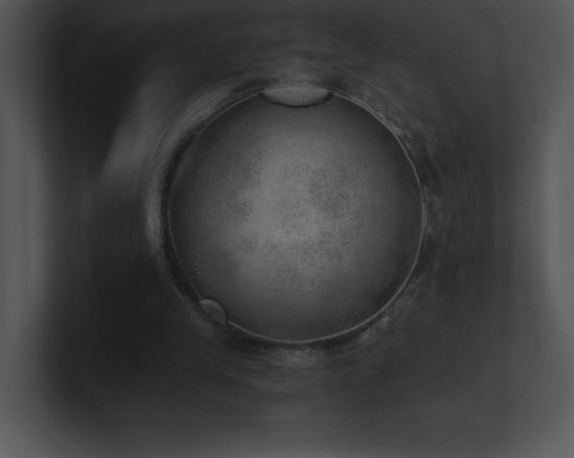 X0000100900245200806241258