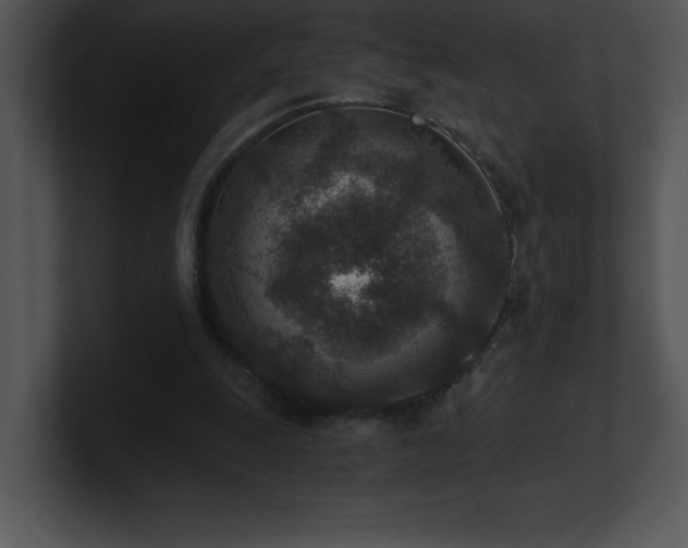 X0000100900247200806241258