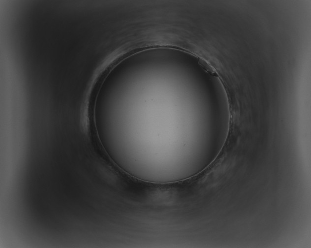 X0000100900248200806241258
