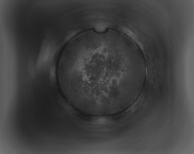 X0000100900249200806241258