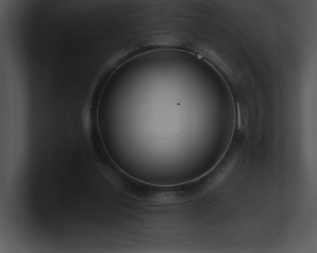 X0000100900252200806241258