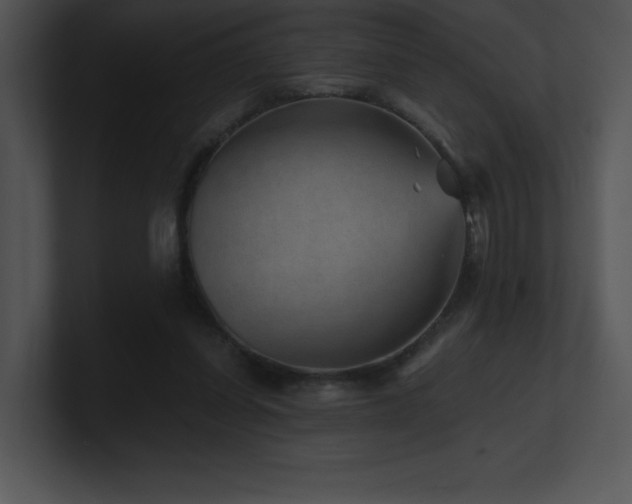 X0000100900254200806241258