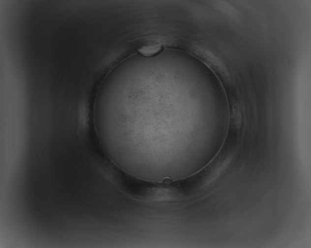 X0000100900255200806241258