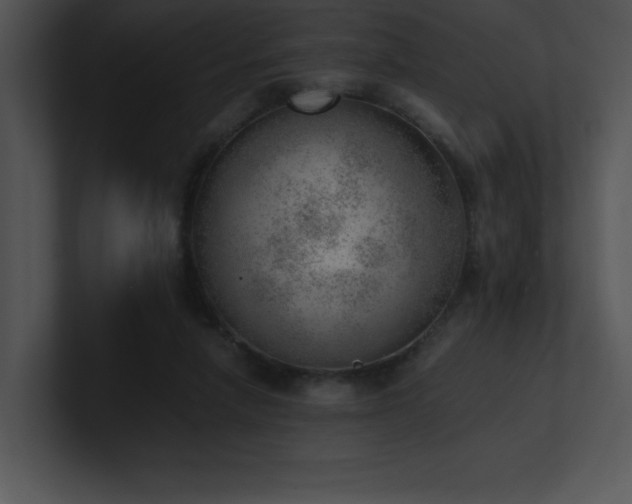 X0000100900258200806241258