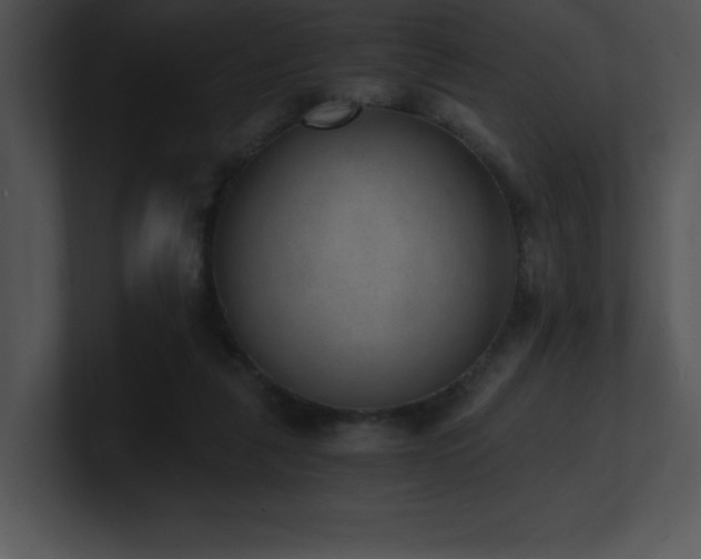 X0000100900259200806241258