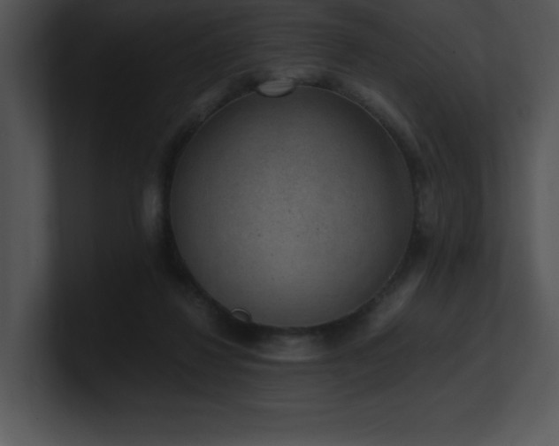 X0000100900260200806241258