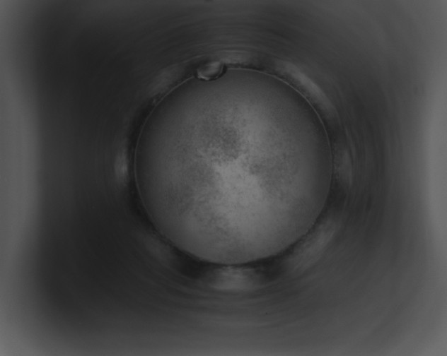 X0000100900261200806241258