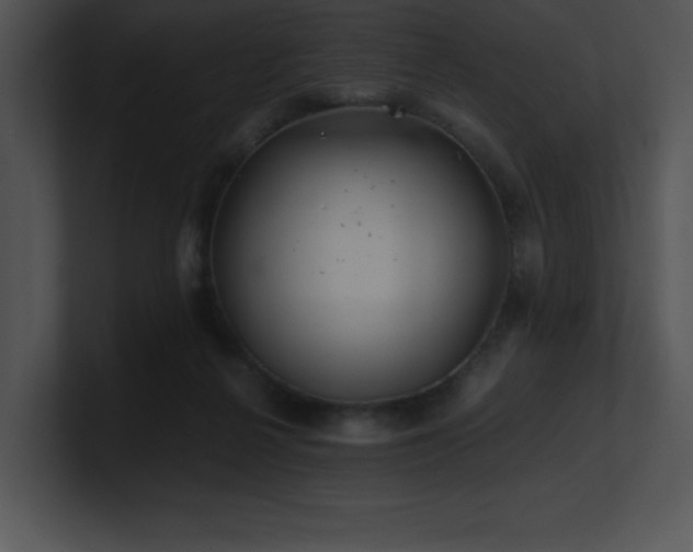 X0000100900264200806241258