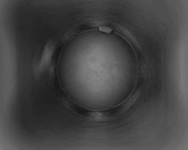 X0000100900265200806241258