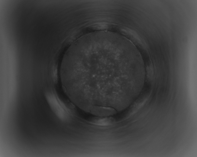 X0000100900267200806241258