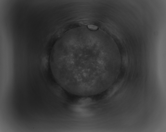 X0000100900271200806241258