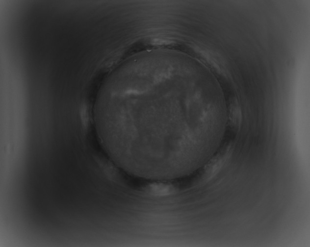 X0000100900272200806241258