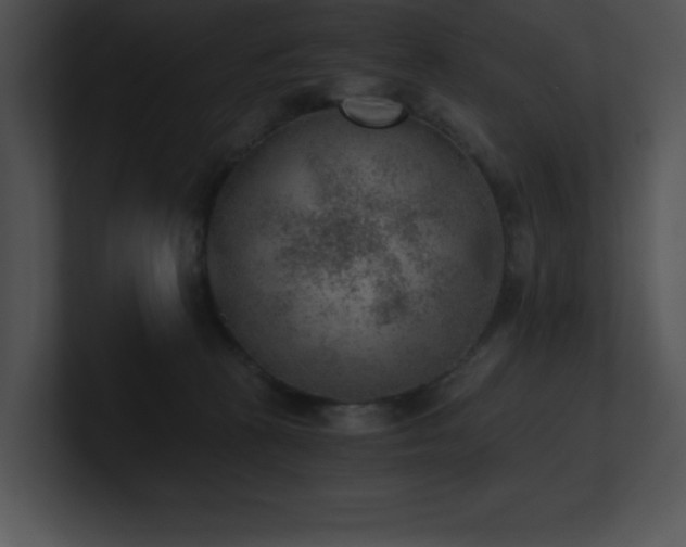 X0000100900273200806241258