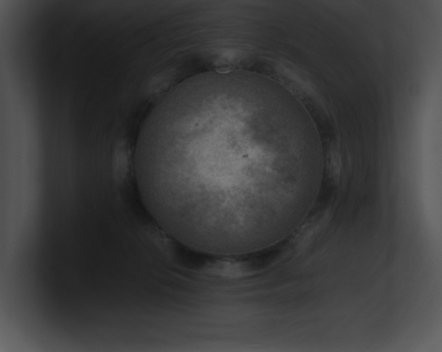 X0000100900276200806241258