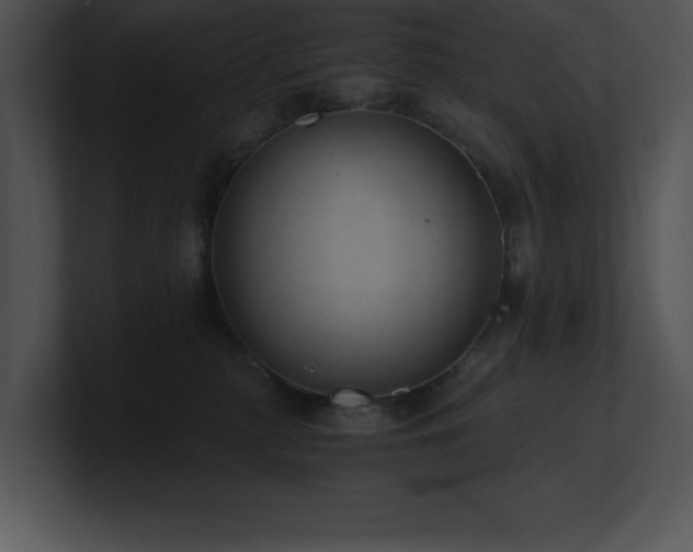X0000100900279200806241258