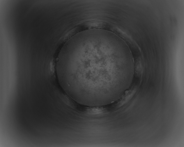 X0000100900282200806241258
