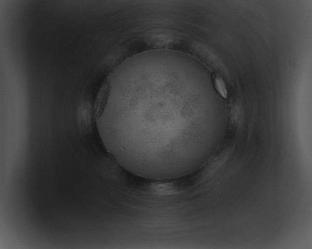 X0000100900283200806241258