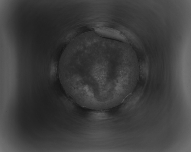 X0000100900284200806241258
